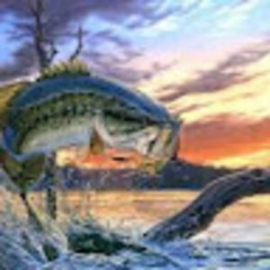 Meet your Posher, Noah